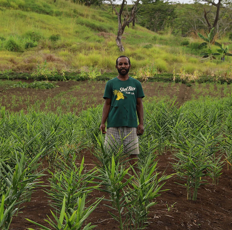 Man in farm