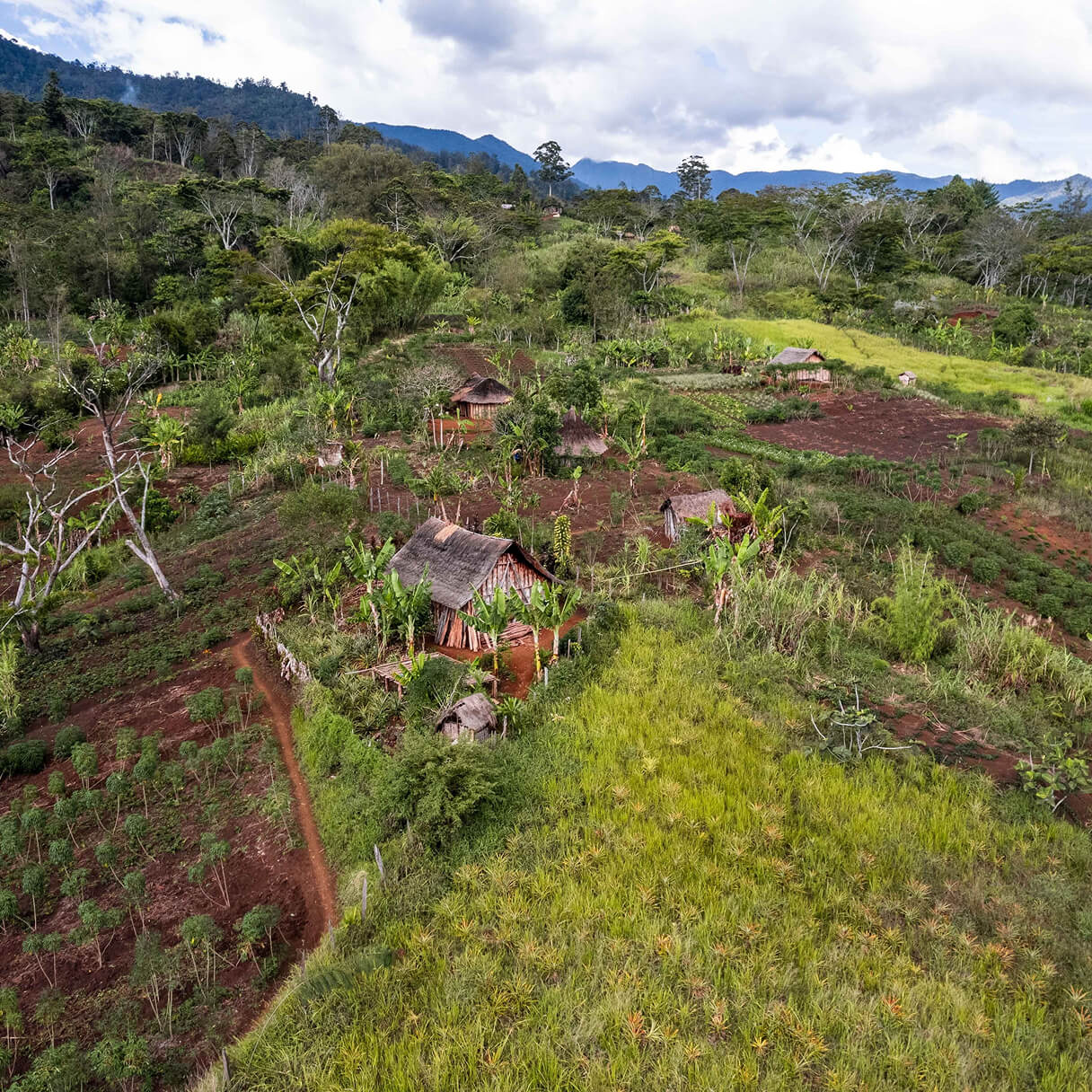 House with farm